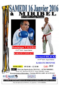 stage-karate-valera-bilicki-16-01-2016