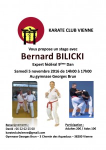 stage-bernard-bilicki-kc-vienne